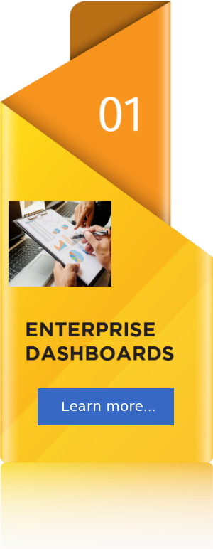 ENTERPRISE DASHBOARDS